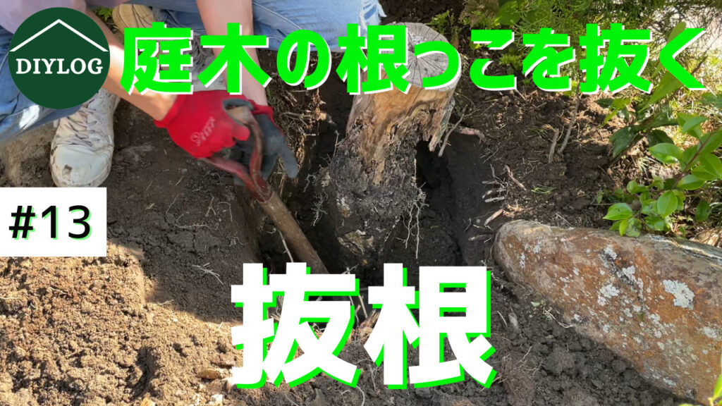 抜根】庭の切り株を抜く｜人力スコップで木の根っこ除去作業｜日本庭園再生【古民家DIY#13】 | DIYLOG